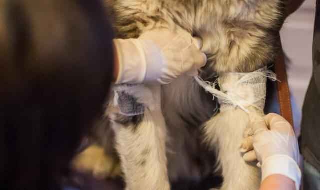 蘇州近期街邊情況，自然美景的心靈之旅體驗(yàn)紀(jì)實(shí)