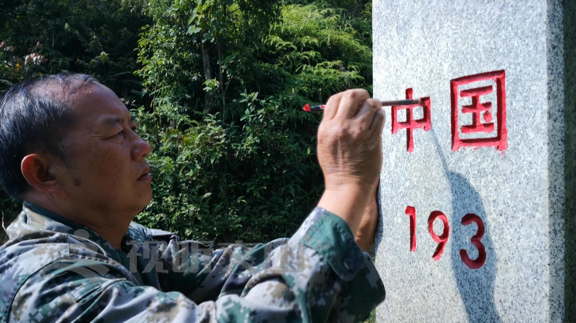 文山黃牛打架比賽，傳統(tǒng)與爭議的碰撞