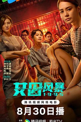 淘君爹最新影片，小巷深處的電影寶藏探索