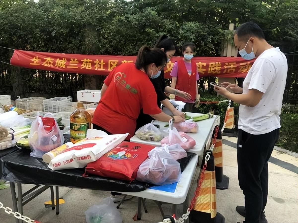 保利華潤紫云價格深度解析，探尋背后的故事與地位影響