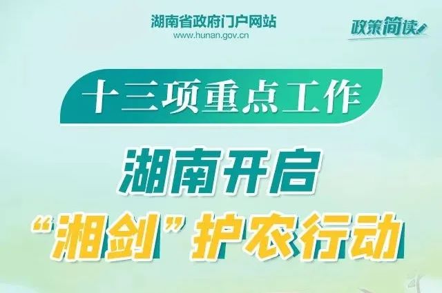 鋁業(yè)巨頭山鋁南定舉辦最新職位招聘盛宴，人才招募火熱進行中！