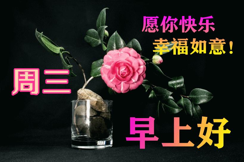 最新早晨問候動(dòng)態(tài)表情包，溫馨問候，從表情開始！