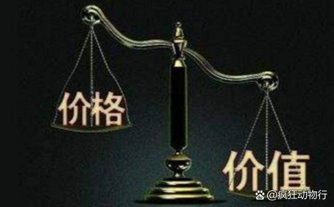 價格與價值解析，差異何在？