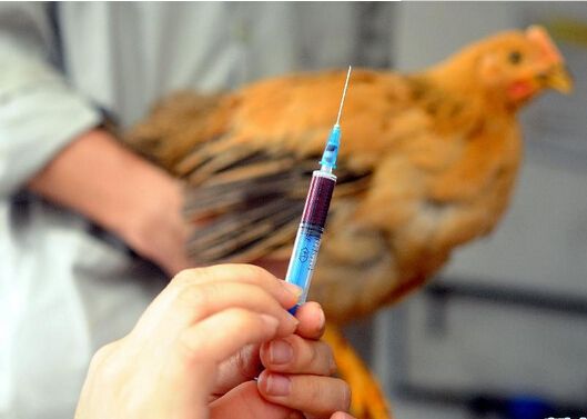 病情最新圖片獲取與分析指南，圖片獲取及分析步驟詳解