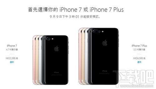 香港蘋果最新價格揭秘，小巷深處的驚喜發(fā)現(xiàn)
