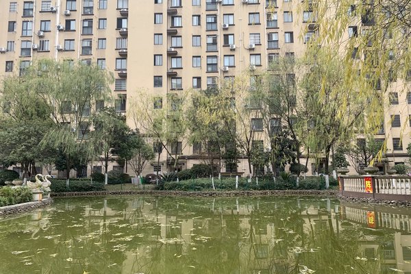 中豪明珠城最新價(jià)格，時(shí)代印記與城市的脈動(dòng)