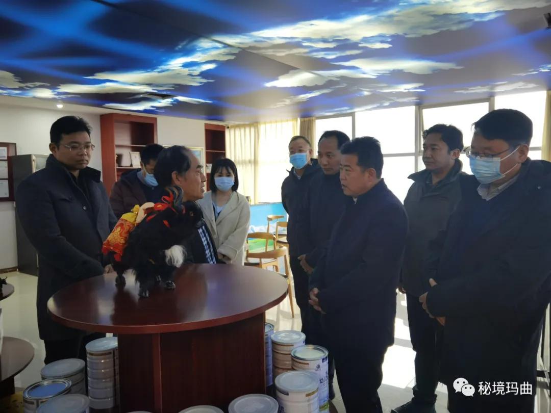 高原之寶上市，學(xué)習(xí)、蛻變與自信的輝煌之旅