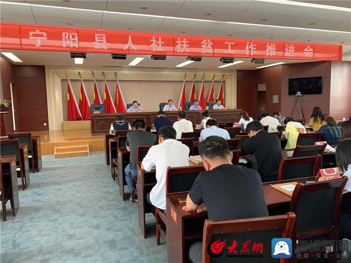 寧陽網(wǎng)最新資訊，城市中的溫情日常