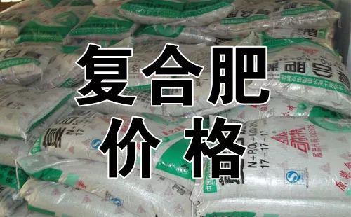 今日復合肥價格行情解析及市場趨勢探討