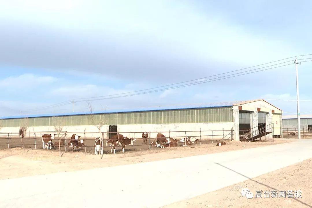 最新養(yǎng)殖場(chǎng)建設(shè)政策解讀，探索之旅啟程