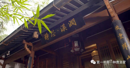 高密西湖茶樓最新資訊，一壺茶，品味溫情時光