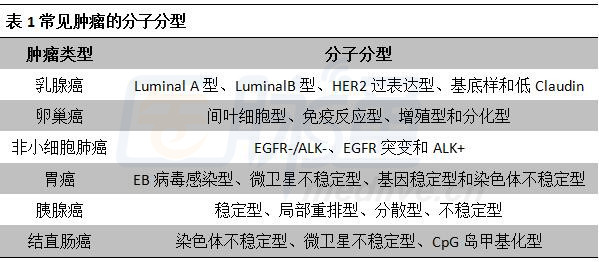 最新乳腺分類科技產(chǎn)品介紹，引領(lǐng)乳腺健康新篇章