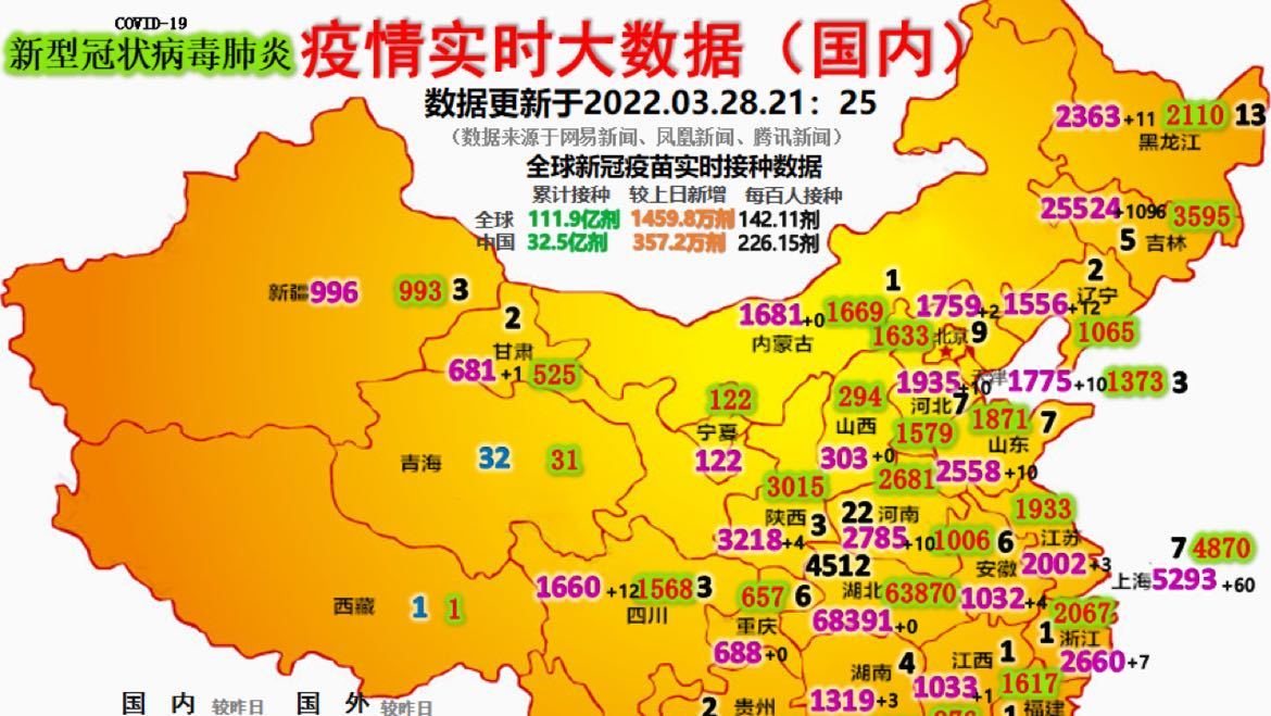 最新疫情動(dòng)態(tài)詳解，初學(xué)者與進(jìn)階用戶的步驟指南