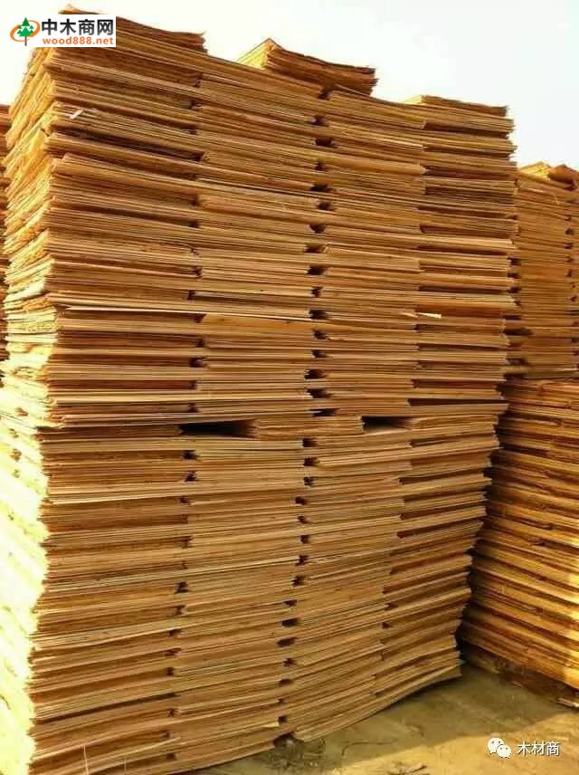 科技革新引領板皮廠行情，開啟板材加工新時代