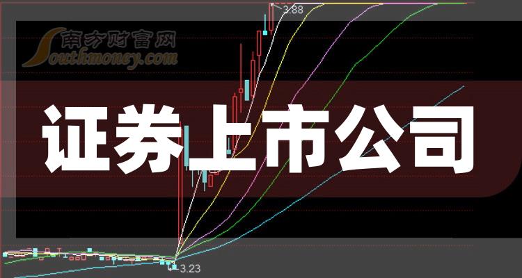科技巨頭引領(lǐng)下的全新視界，股票上市公司概覽