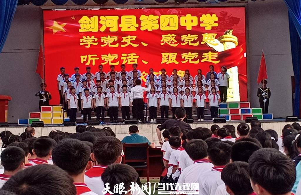 青蛙與狗的泳池挑戰(zhàn)，揭秘游泳比賽背后的故事，青蛙夢工廠的秘密探索