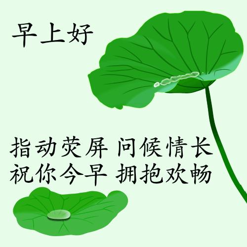 最新疫情動(dòng)態(tài)下的自然探索之旅，追尋內(nèi)心的平和與寧?kù)o