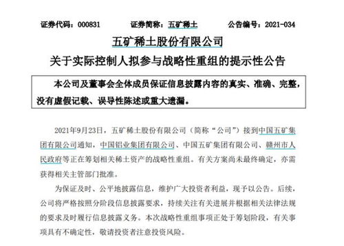 南方稀土股票，小巷中的隱秘寶藏，探索投資魅力的未知之旅