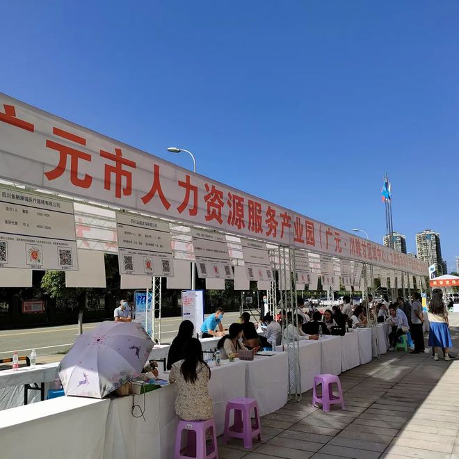 廣元最新招聘資訊詳解，觀點闡述與解析