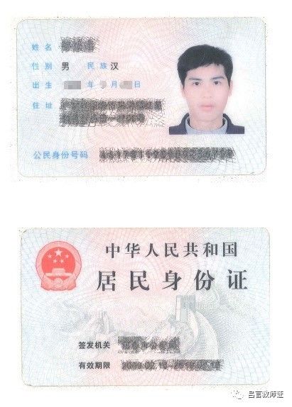 最新證照，友情與陪伴的溫馨故事之旅