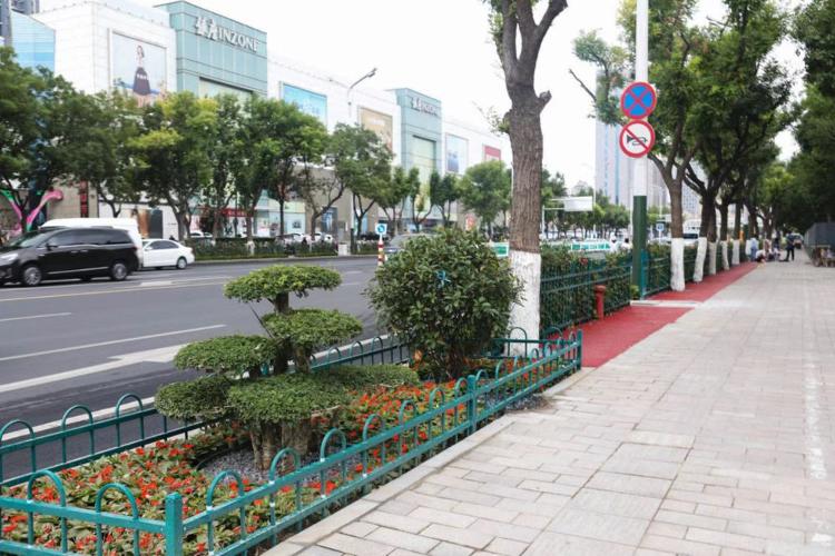 濰坊市奎文區(qū)改造工程，自然美景的探索之旅