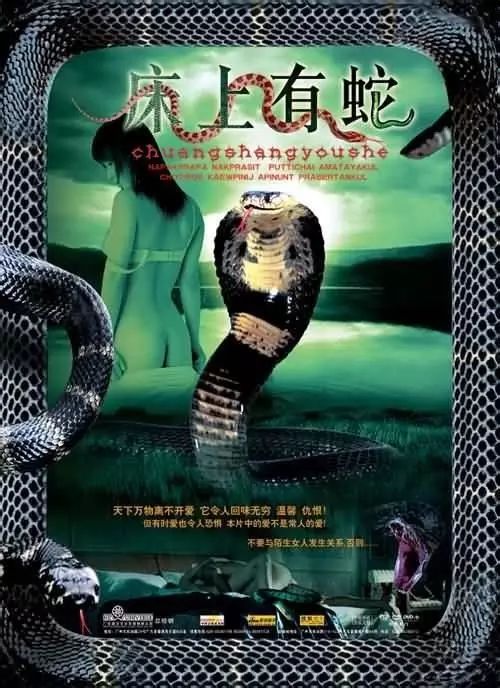 最新蛇片，蛻變的旅程，召喚自信與成就感的冒險(xiǎn)之旅