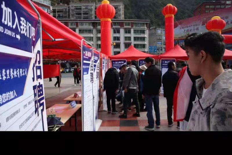 青白江招聘信息探索，小巷中的職業(yè)機遇