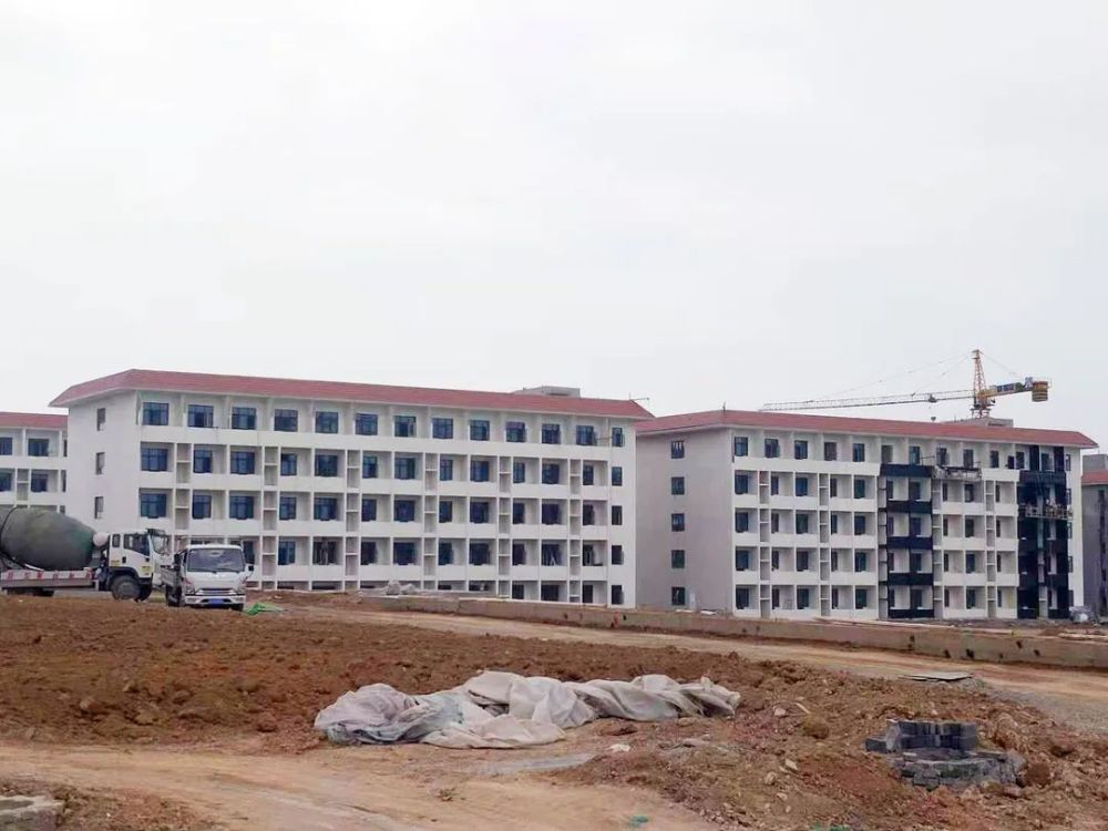 甘谷新聞，大石車禍最新進展及觀點論述深度解析