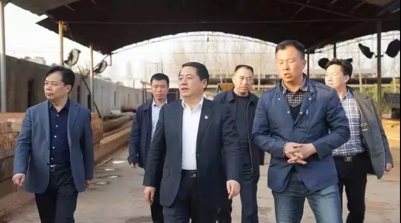 商丘王仲田最新動態(tài)，探索自然美景的旅行，尋求內(nèi)心平和之旅