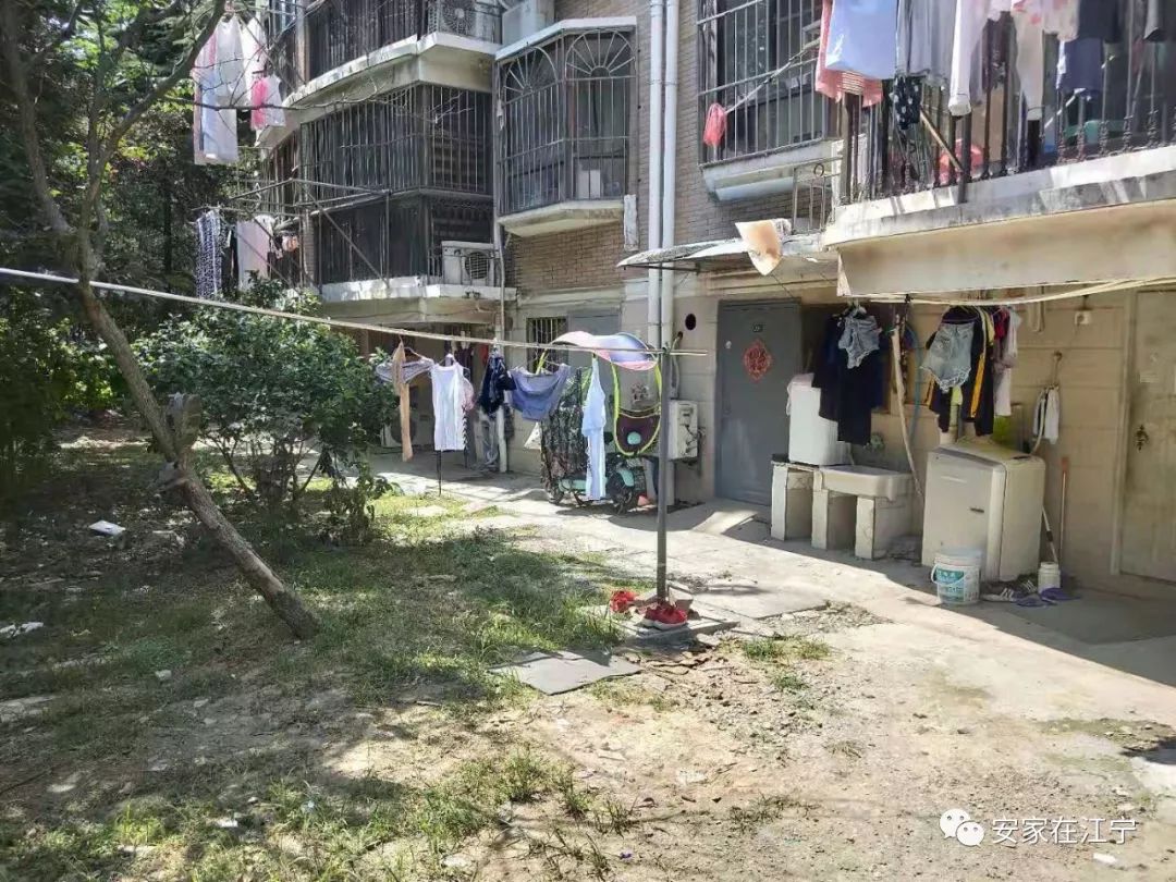 最新大雜亂時代，混沌與秩序的重建之路