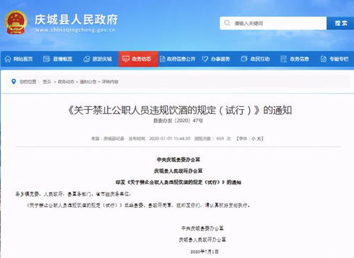 酒駕處罰2024最新標準詳解，步驟指南與更新概覽