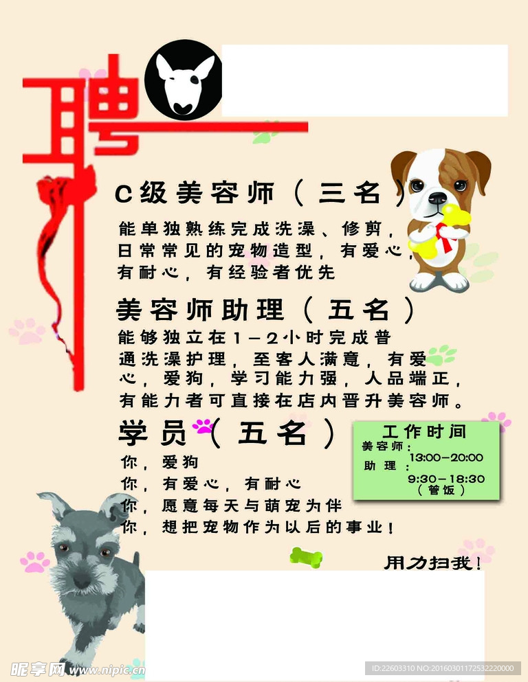 寵物店招聘最新動態(tài)，共探自然之美，尋求內(nèi)心寧靜