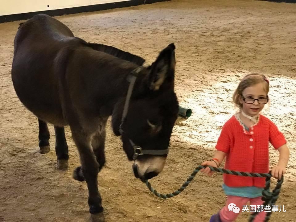 二驢子最新事件揭秘，事件全貌大揭秘！