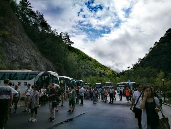 泰順高鐵最新動態(tài)更新，最新消息一覽
