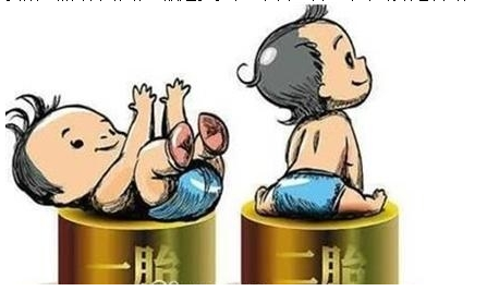 最新雙胞胎補助政策，攜手同行，助力孕育夢想之路