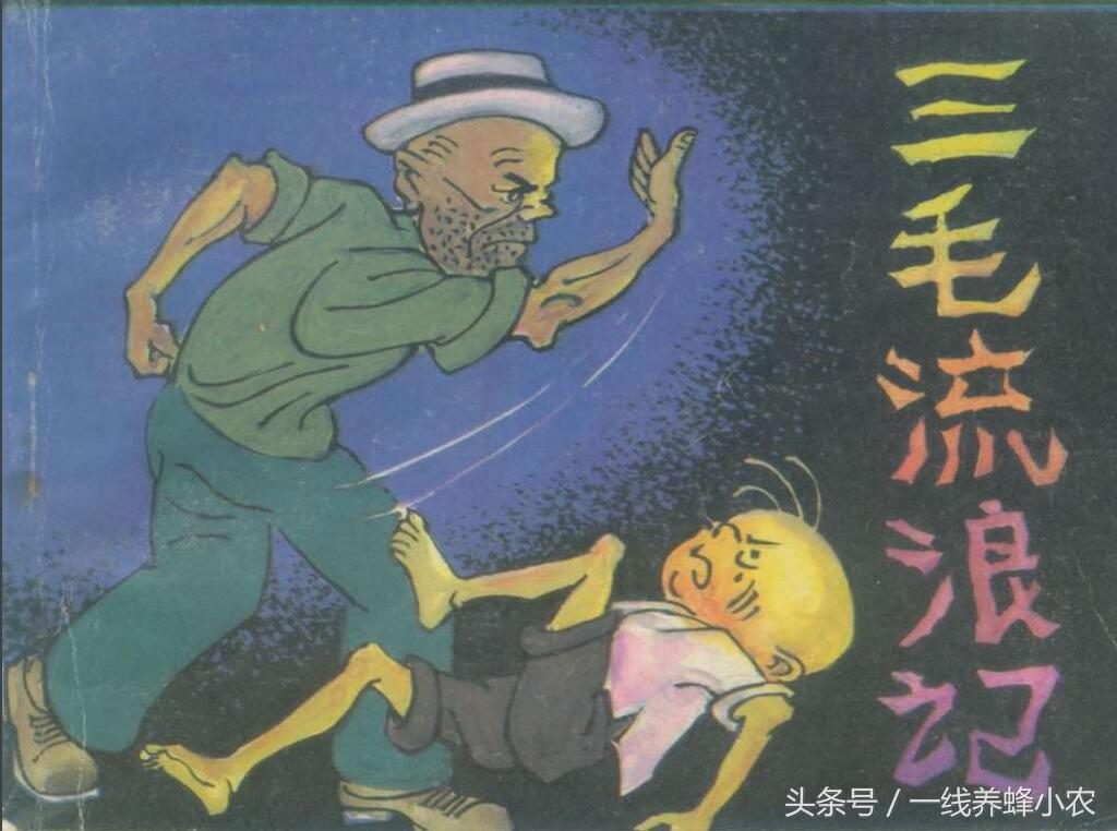 上海三毛最新動(dòng)態(tài)，自然美景探索之旅啟幕