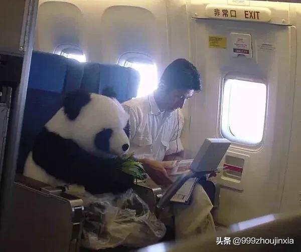 追逐變化之翼，學習鑄就自信與成就——虛幻最新探討