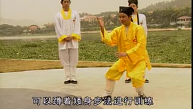 太極最新音樂(lè)，傳統(tǒng)與現(xiàn)代的完美融合藝術(shù)展現(xiàn)