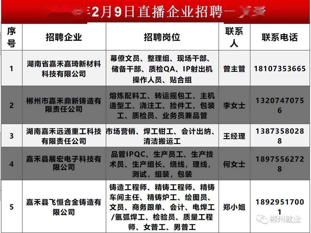 新洲最新招聘信息及動態(tài)更新
