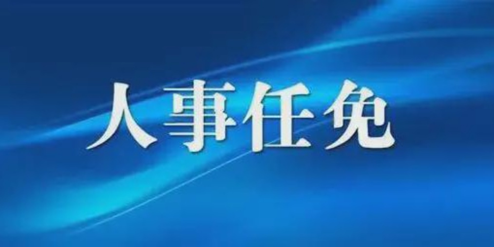 成都人事任免背后的故事，小巷獨(dú)特風(fēng)味小店與城市的脈動(dòng)