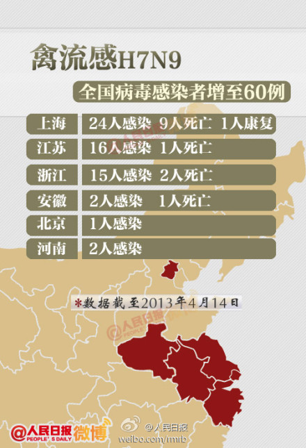 山東禽流感最新動(dòng)態(tài)，友情與陪伴的溫馨故事