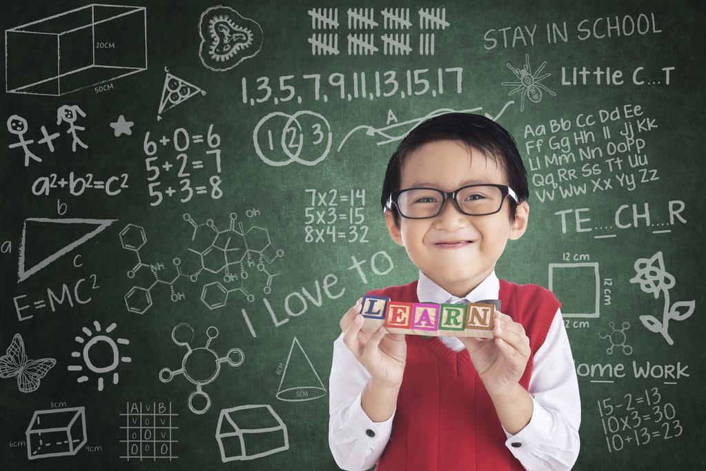 小學(xué)數(shù)學(xué)最新課程標(biāo)準(zhǔn)，深度解析與觀點(diǎn)闡述