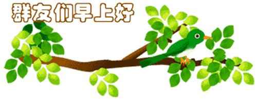 最新清晨祝福短信，晨曦中的溫暖問(wèn)候，傳遞美好祝愿與關(guān)懷