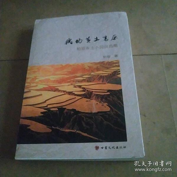 時代背景下的鄉(xiāng)土情懷與文學地位，最新鄉(xiāng)土小說探析