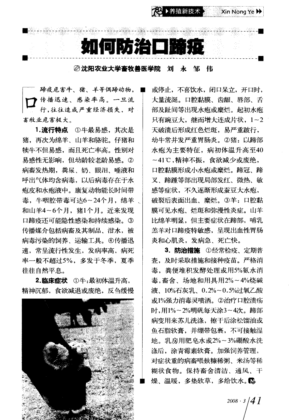 口蹄疫最新科研，自然探險與內(nèi)心平和的追尋之旅