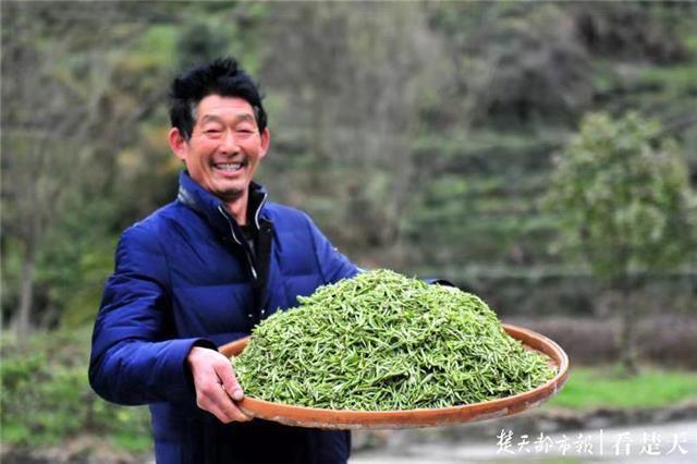 最新夷陵新聞，探索自然美景的旅程，尋覓內(nèi)心平和之地