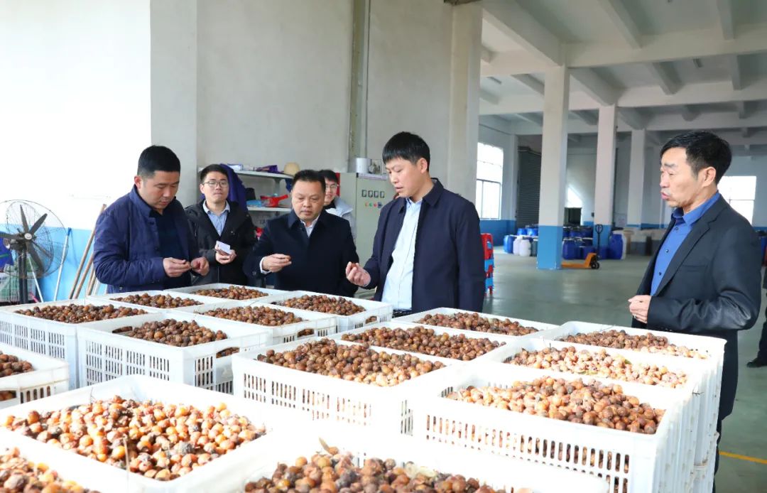 建寧最新新聞，城市溫馨日常與友情力量的展現(xiàn)