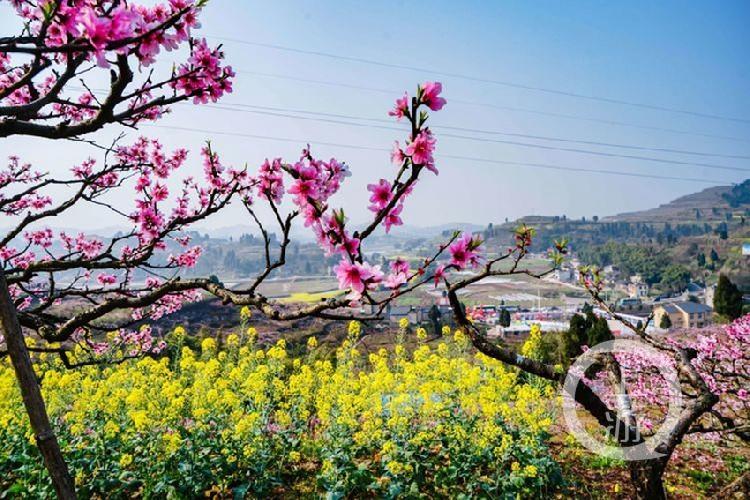 合川最新科技新聞，高科技產(chǎn)品引領(lǐng)未來生活潮流