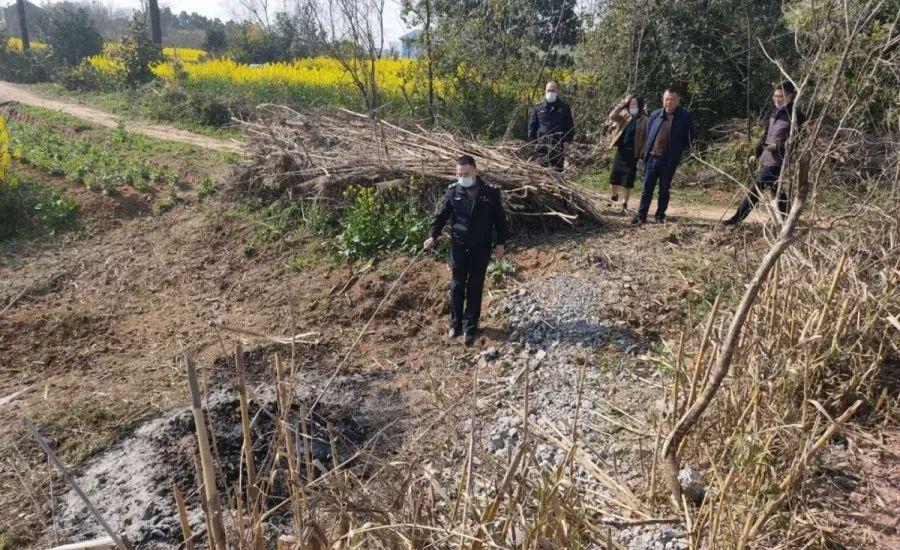 溧陽最新天氣，氣象變遷與地域影響探究