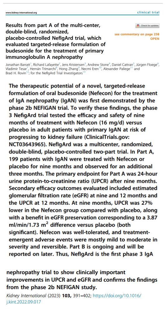 IGA腎病最新突破，醫(yī)學(xué)奇跡在小店中綻放的獨(dú)特魅力